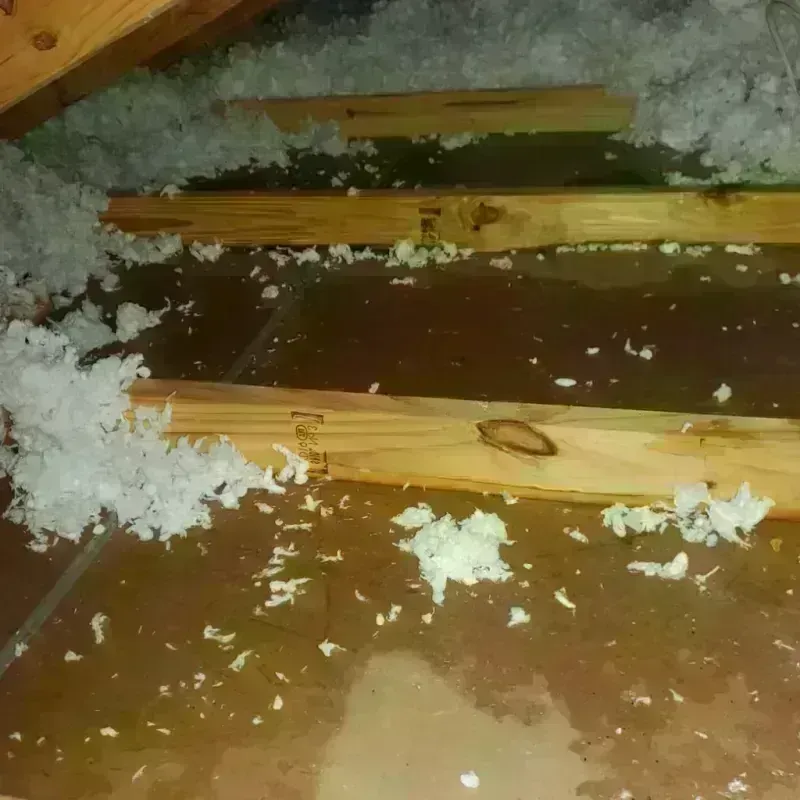 Attic Water Damage in Franklin, GA