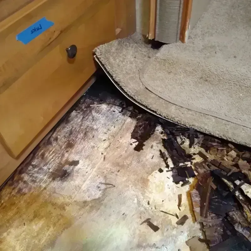 Wood Floor Water Damage in Franklin, GA